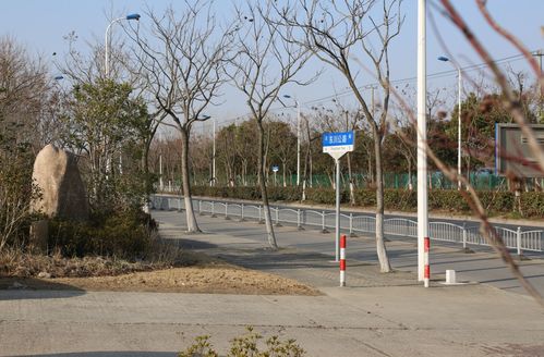 交通设施改造 道路沿线景观提升 浦东这个镇民生实事项目
