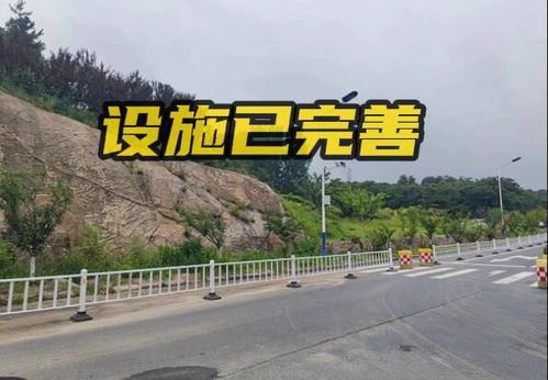 齐鲁原创