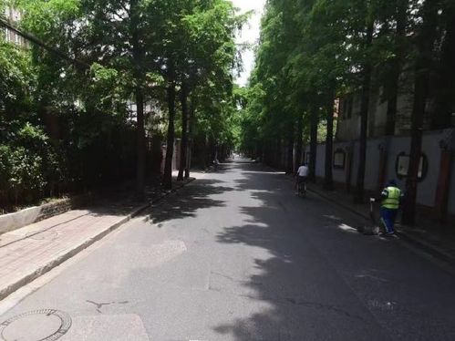 好消息 虹口3条道路变身精品示范路 快来看看有你家附近的吗