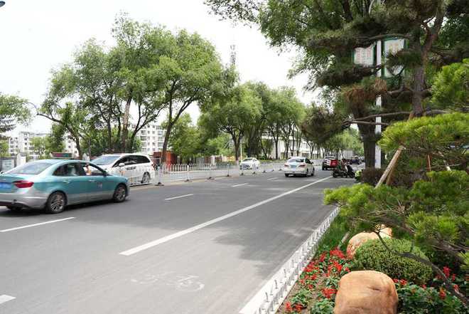 驻延企业包保打造10条精品街路 绿美直抵人心