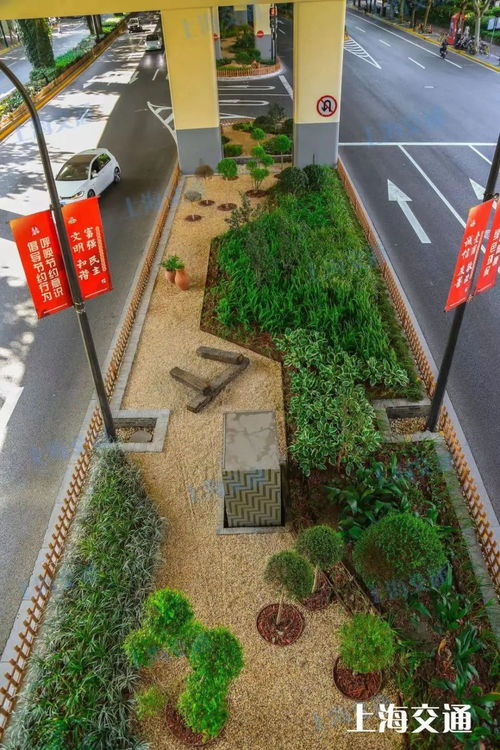 地铁站被 森林 包围 从空中可直达南外滩 上海这些交通设施 车站美出圈