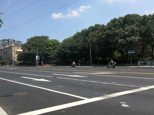 为民办实事 宝山区7条道路变身精品示范路