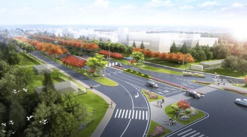大量效果图来袭 义乌这个镇公布2021年作战图,冷鲜城 新校园 道路