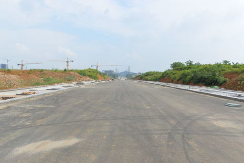 乐山高新区基础设施及配套工程建设ppp项目 道路篇
