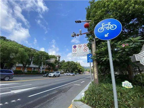 司机注意 西樵这个路段有新交通设施,对违停车辆进行抓拍