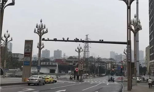 去盘龙新城要当心 这些路段的交通设施已正式启用