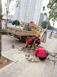 市政工程管理中心强化设施维修，全力保障道路畅通与设施完善