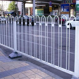 道路设施 城市发展的脉络与基石