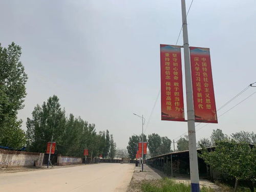 “美颜术”下的乡镇蝶变 道路设施的华丽转身