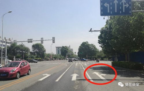 遵化城区道路通行方式优化调整 多处交通设施升级助力市民便捷出行