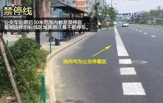 扬州车主注意 乱停车不仅罚款，这些行为12分很快扣光