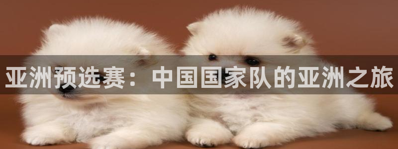 世界杯足球赛：亚洲预选赛：中国国家队的亚洲之旅
