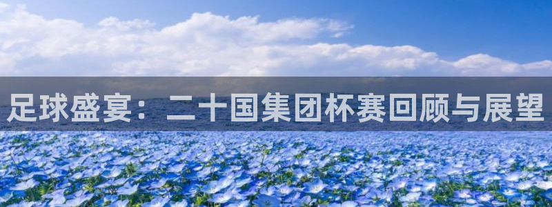 2026世界杯日期：足球盛宴：二十国集团杯赛回顾与展望