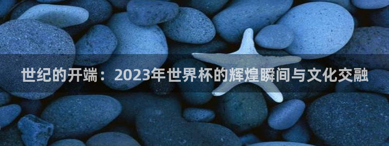 2006世界杯：世纪的开端：2023年世界杯的辉煌瞬间与文化交融