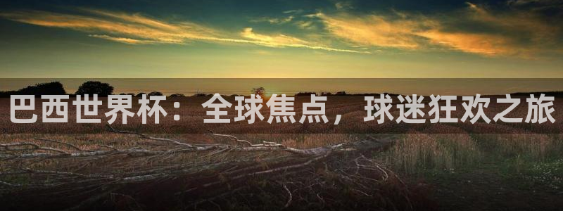 世界杯 2026：巴西世界杯：全球焦点，球迷狂欢之旅