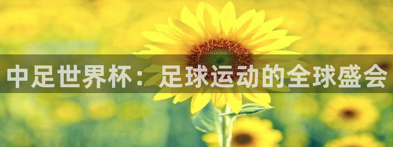 世界杯赛程表：中足世界杯：足球运动的全球盛会