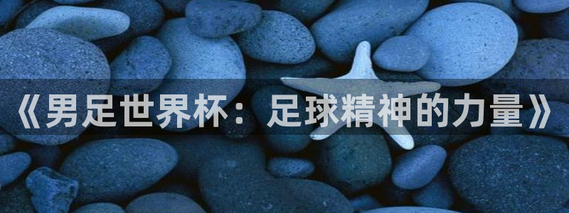 2006年世界杯冠军:《男足世界杯:足球精神的力量》