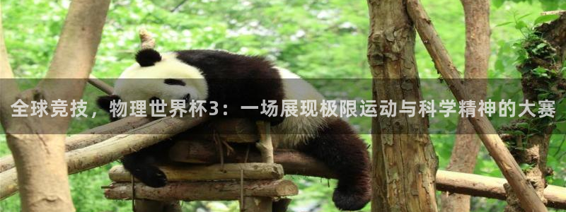 美洲杯直播:全球竞技,物理世界杯3:一场展现极限运动与科学精神的大赛