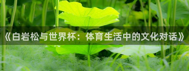 今天所有足球赛程表:《白岩松与世界杯:体育生活中的文化对话》