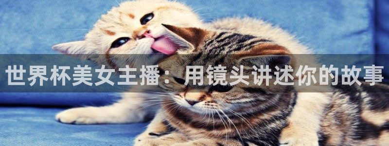 世预赛赛程表:世界杯美女主播:用镜头讲述你的故事