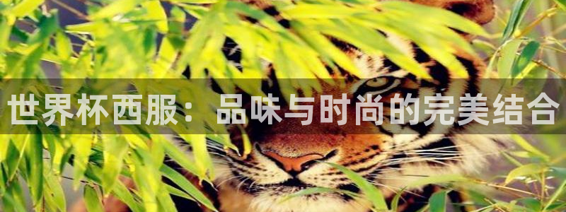2026世界杯德国队阵容:世界杯西服:品味与时尚的完美结合