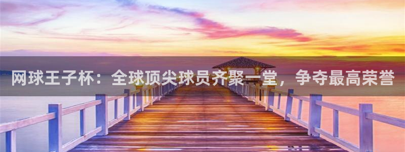 世界杯预选赛规则:网球王子杯:全球顶尖球员齐聚一堂,争夺最高荣誉