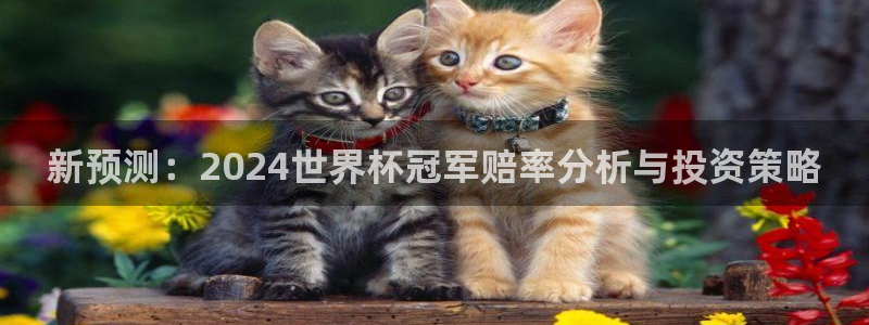 2026世界杯预选赛:新预测:2024世界杯冠军赔率分析与投资策略