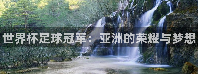 2026世界杯中国队:世界杯足球冠军:亚洲的荣耀与梦想