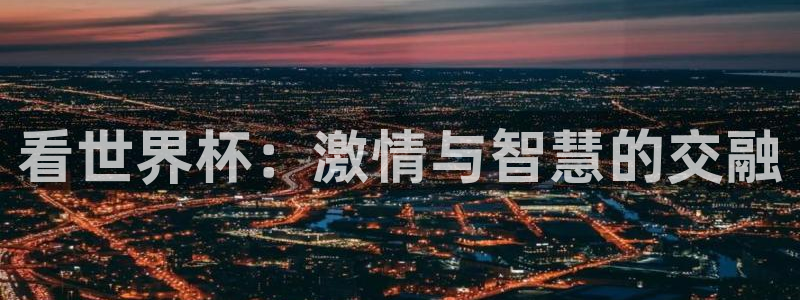 世界杯球赛:看世界杯:激情与智慧的交融
