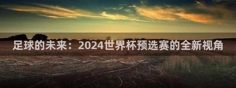 世界杯 2026:足球的未来:2024世界杯预选赛的全新视角